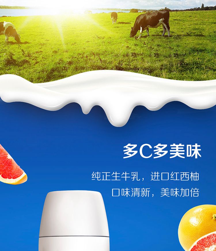 蒙牛 纯甄小蛮腰 高端轻酪乳风味酸牛奶